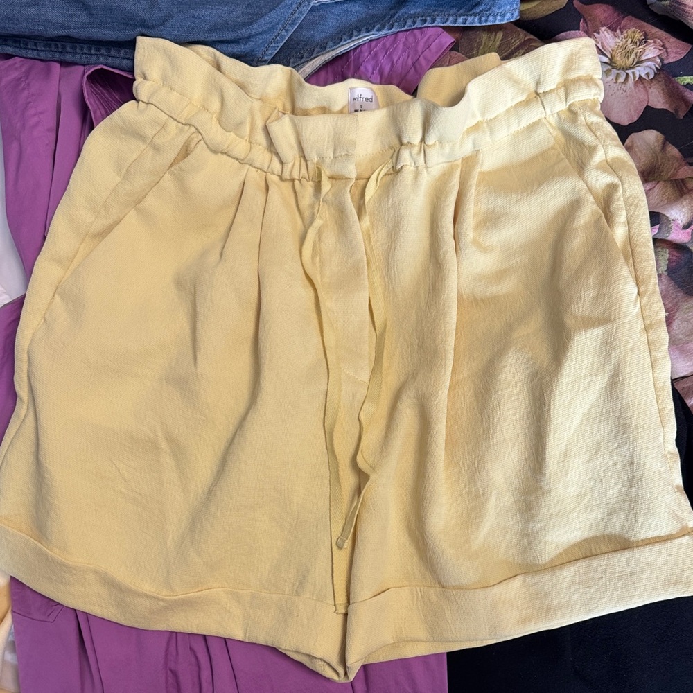 Aritzia Shorts